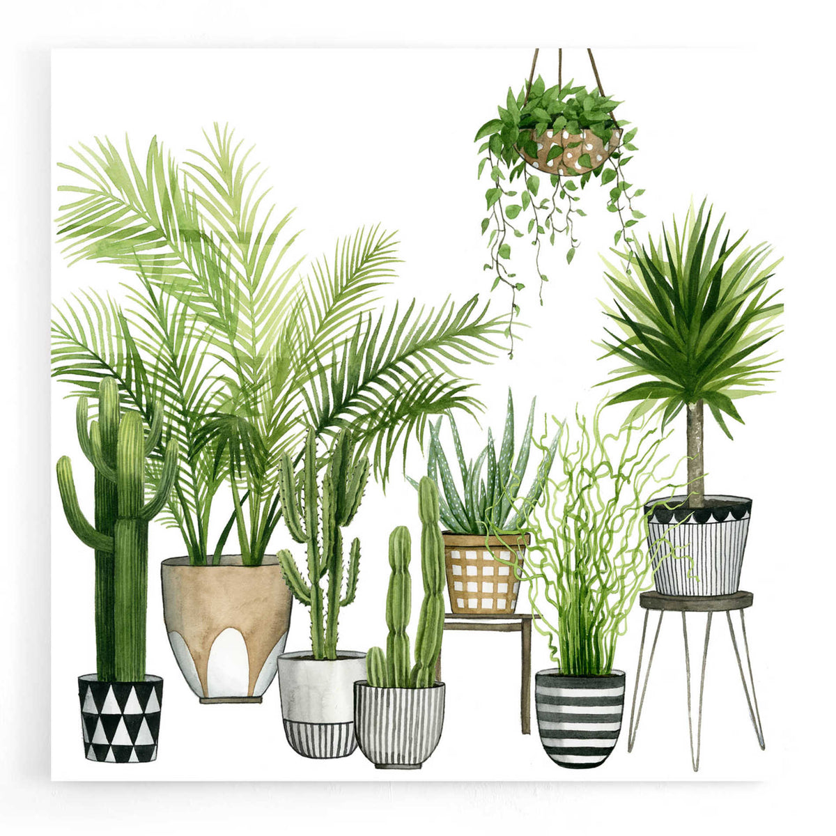Epic Art 'Plant Haven II' by Grace Popp, Acrylic Glass Wall Art