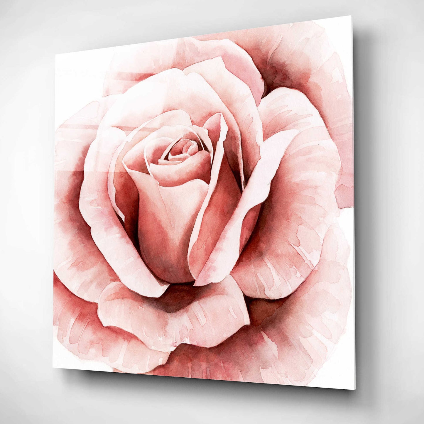 Epic Art 'Pink Rose II' by Grace Popp, Acrylic Glass Wall Art,12x12