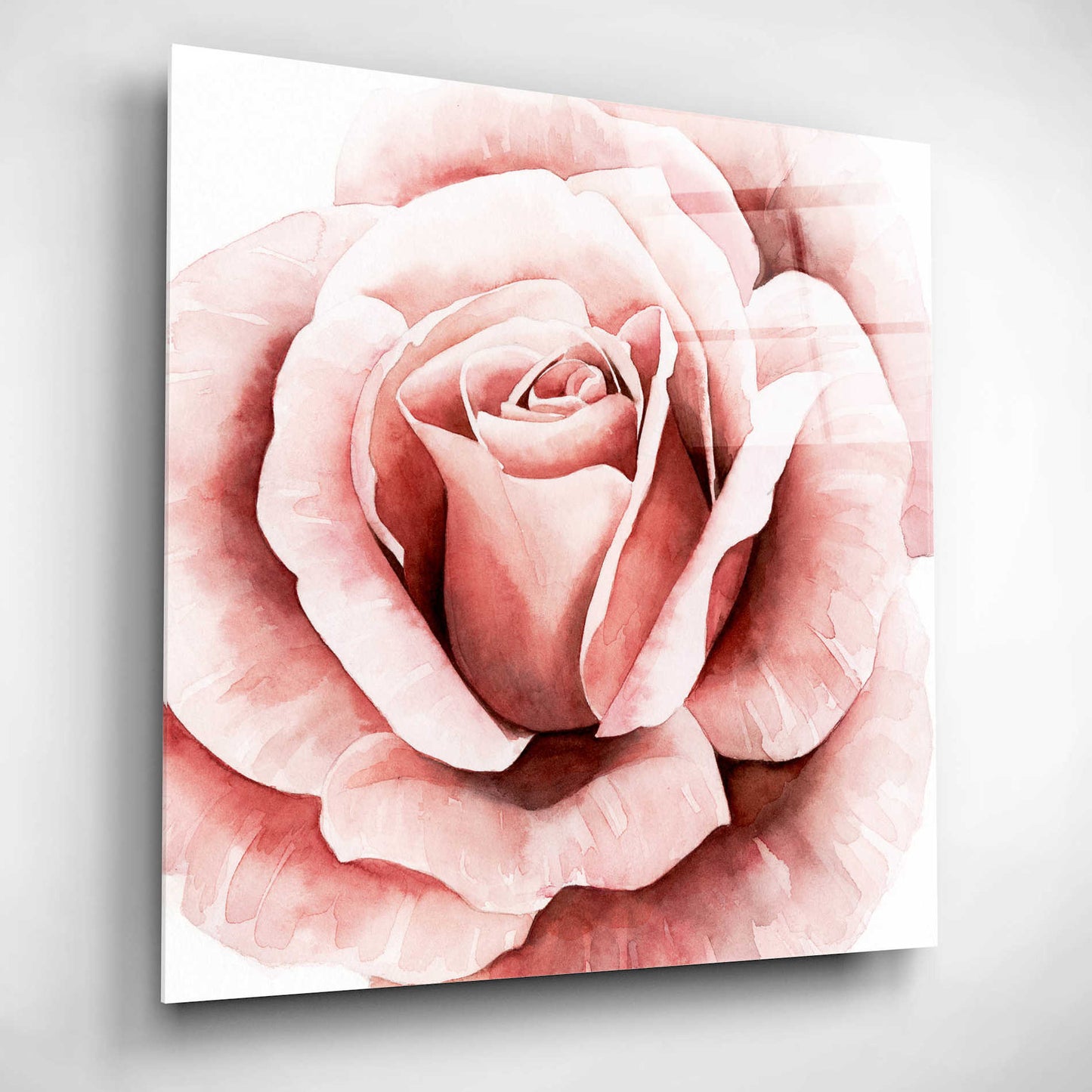 Epic Art 'Pink Rose II' by Grace Popp, Acrylic Glass Wall Art,12x12