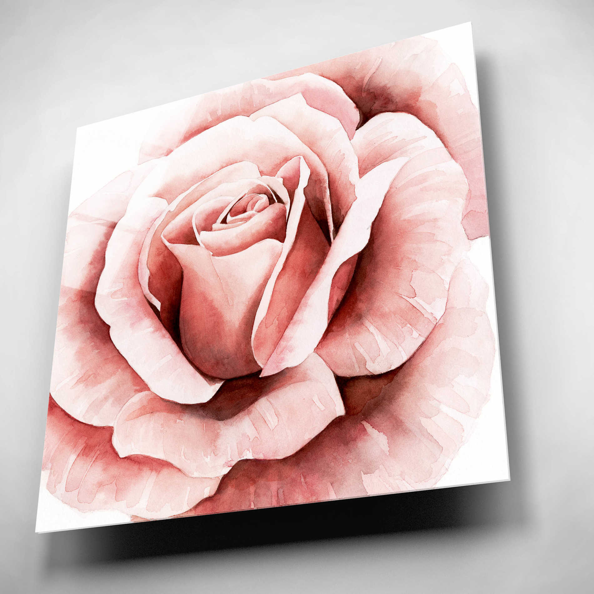 Epic Art 'Pink Rose II' by Grace Popp, Acrylic Glass Wall Art,12x12