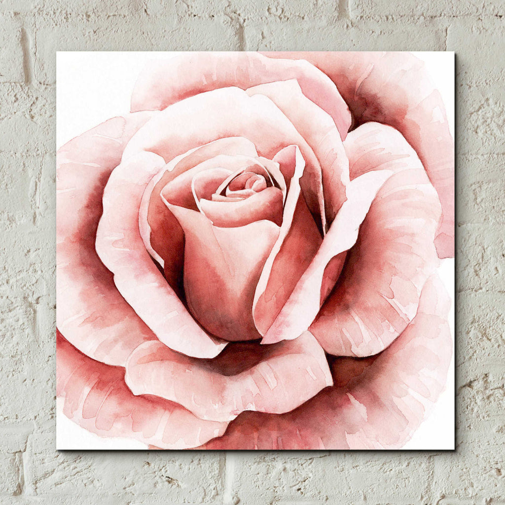 Epic Art 'Pink Rose II' by Grace Popp, Acrylic Glass Wall Art,12x12