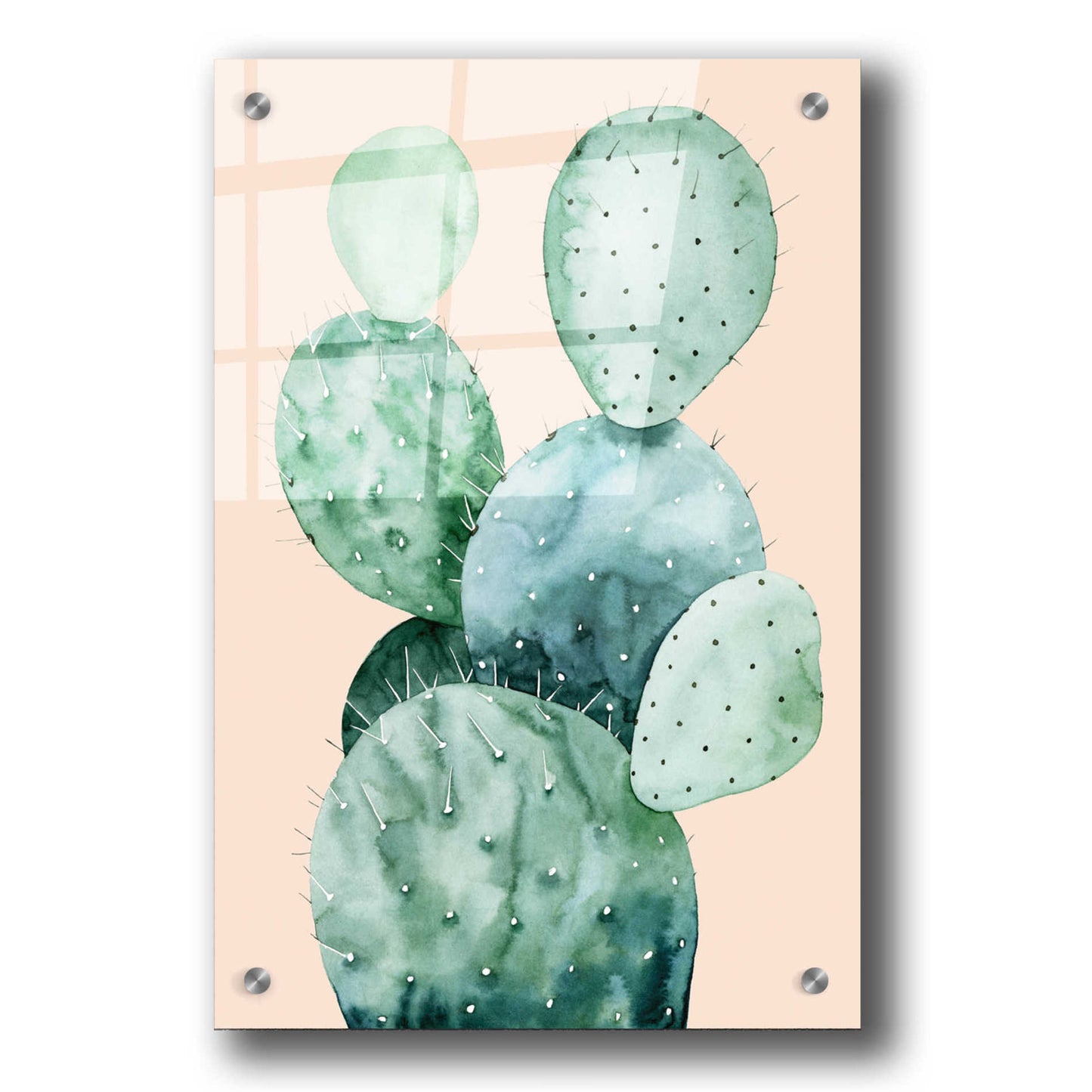 Epic Art 'Cactus on Coral II' by Grace Popp, Acrylic Glass Wall Art,24x36