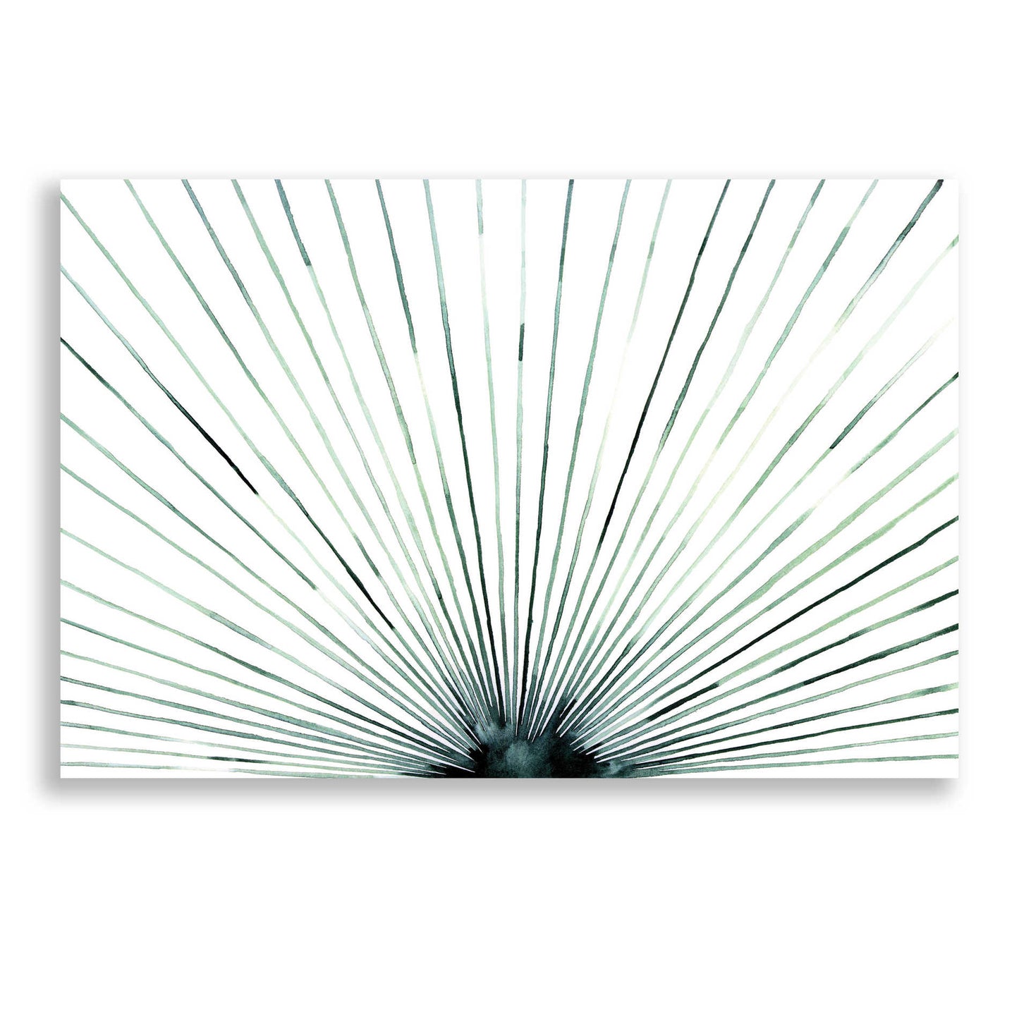 Epic Art 'Strobe I' by Grace Popp, Acrylic Glass Wall Art,24x16