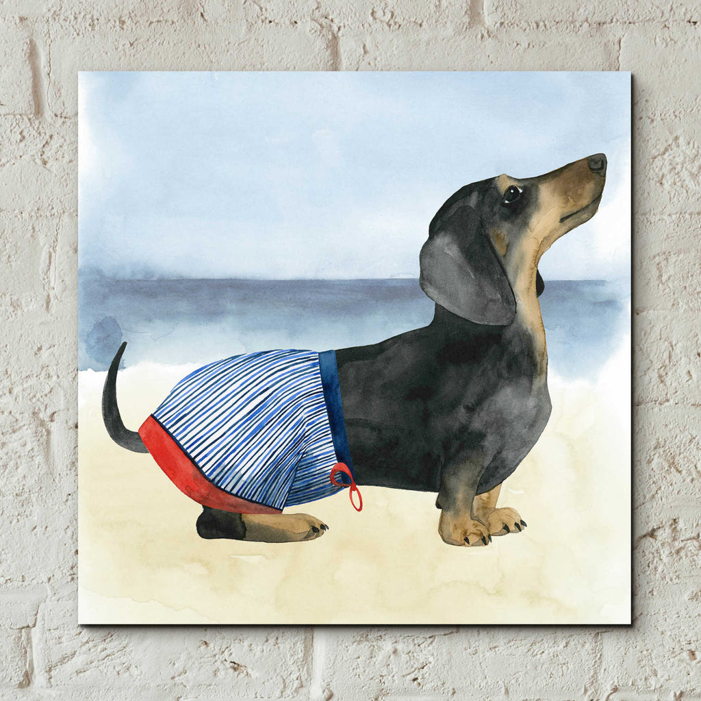 Epic Art 'Hot Dog IV' by Grace Popp, Acrylic Glass Wall Art,12x12