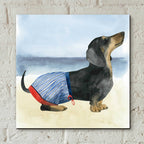 Epic Art 'Hot Dog IV' by Grace Popp, Acrylic Glass Wall Art,12x12