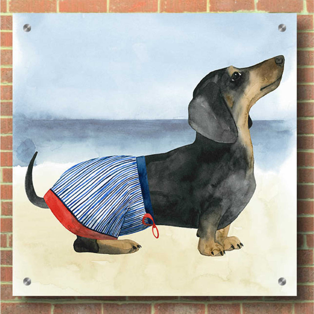 Epic Art 'Hot Dog IV' by Grace Popp, Acrylic Glass Wall Art,36x36