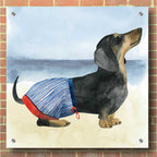 Epic Art 'Hot Dog IV' by Grace Popp, Acrylic Glass Wall Art,36x36
