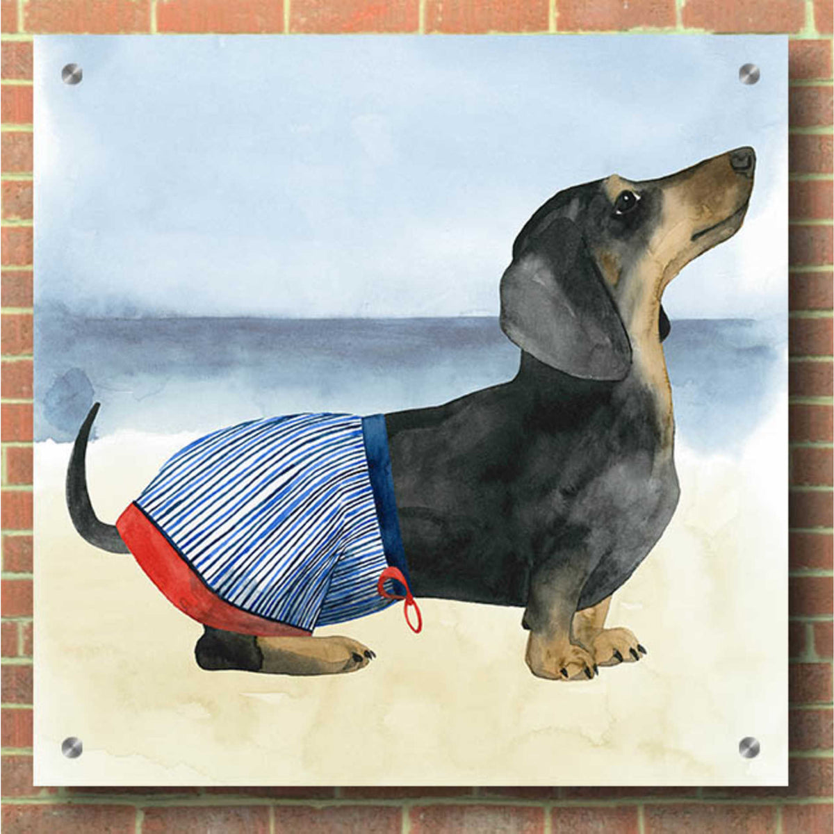 Epic Art 'Hot Dog IV' by Grace Popp, Acrylic Glass Wall Art,36x36