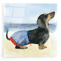Epic Art 'Hot Dog IV' by Grace Popp, Acrylic Glass Wall Art