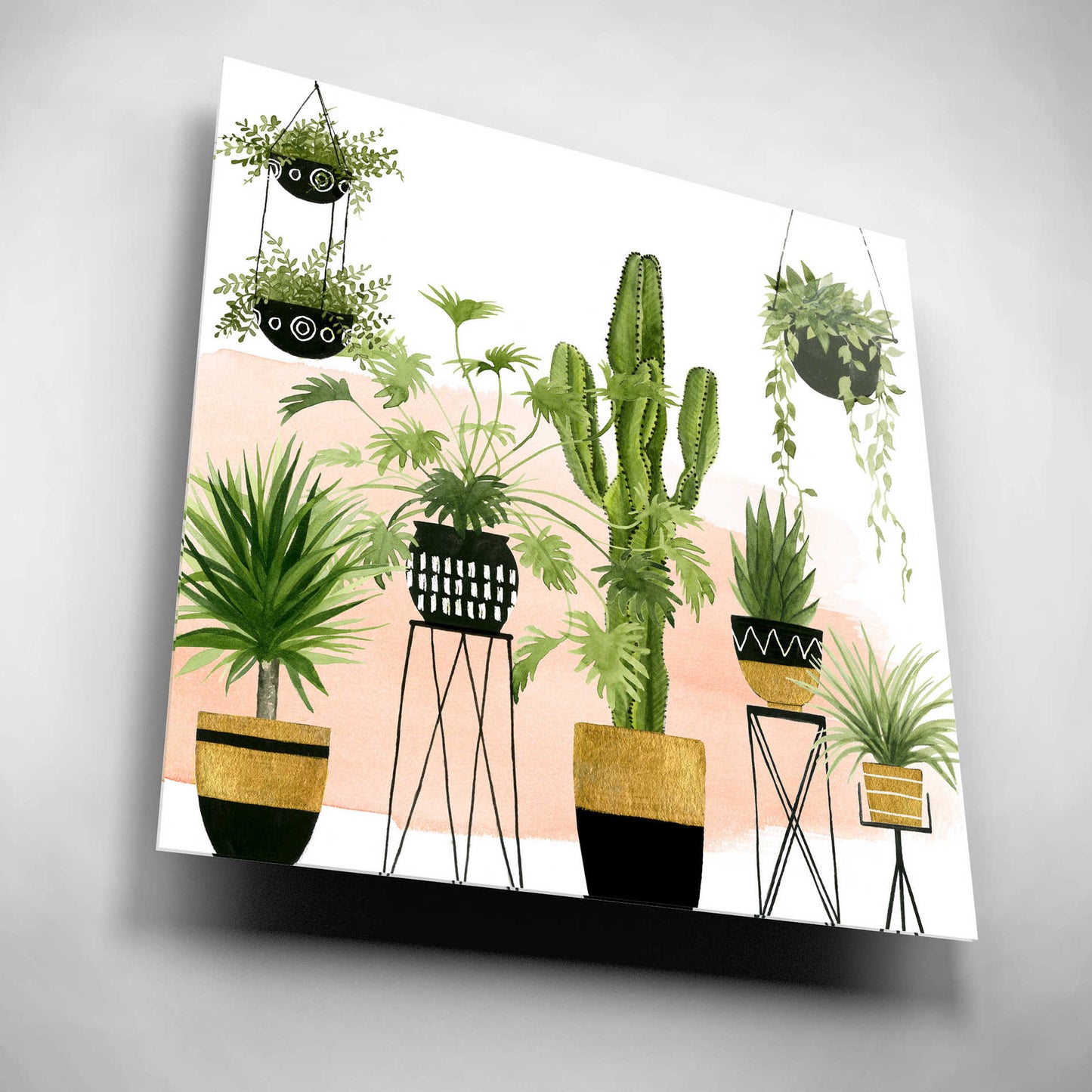 Epic Art 'Indoor Oasis I' by Grace Popp, Acrylic Glass Wall Art,12x12