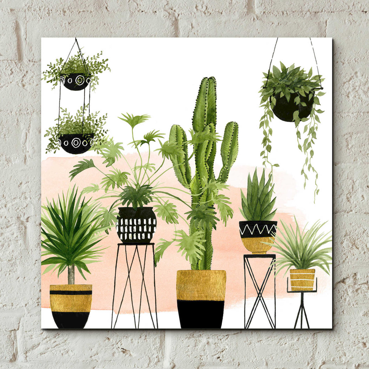 Epic Art 'Indoor Oasis I' by Grace Popp, Acrylic Glass Wall Art,12x12