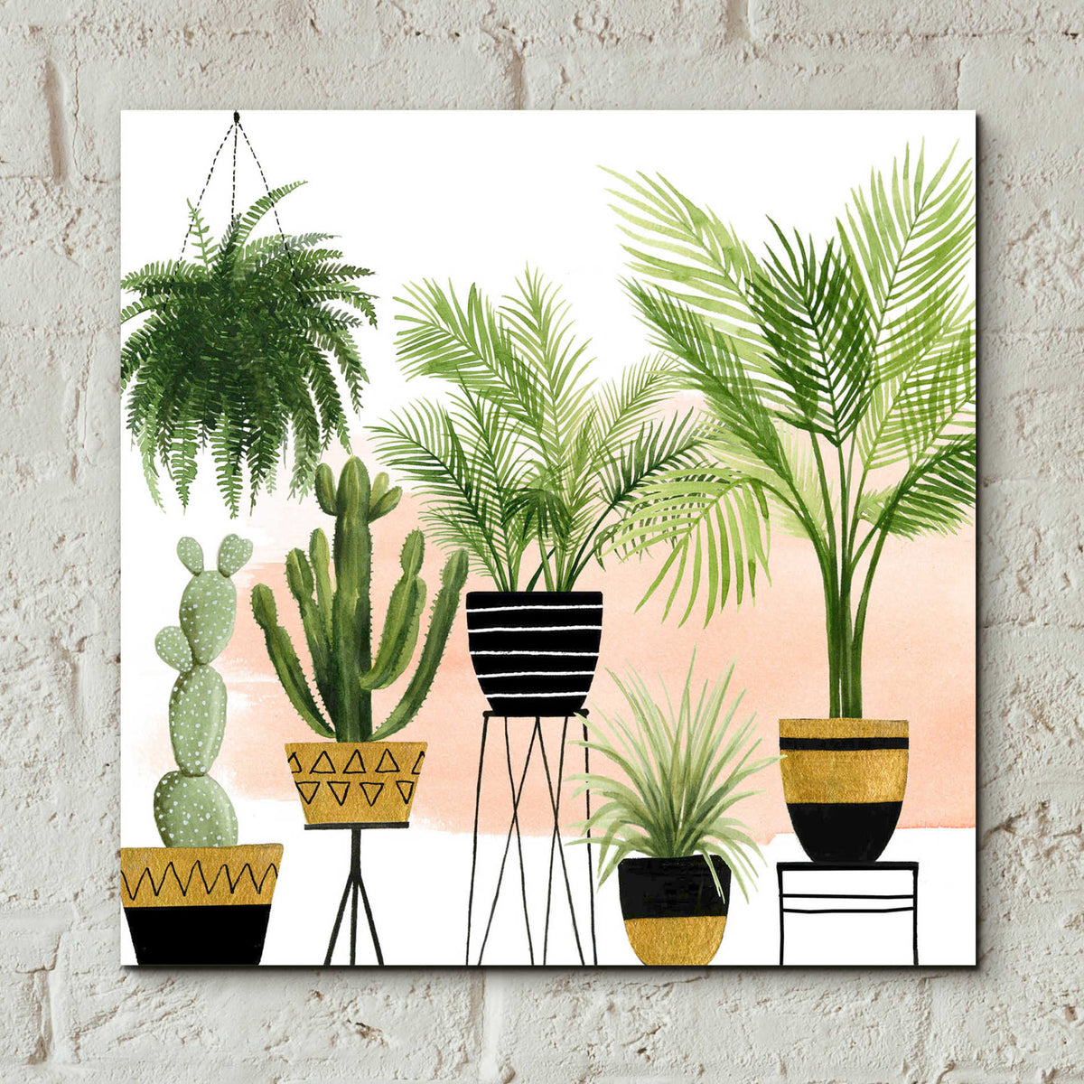 Epic Art 'Indoor Oasis II' by Grace Popp, Acrylic Glass Wall Art,12x12