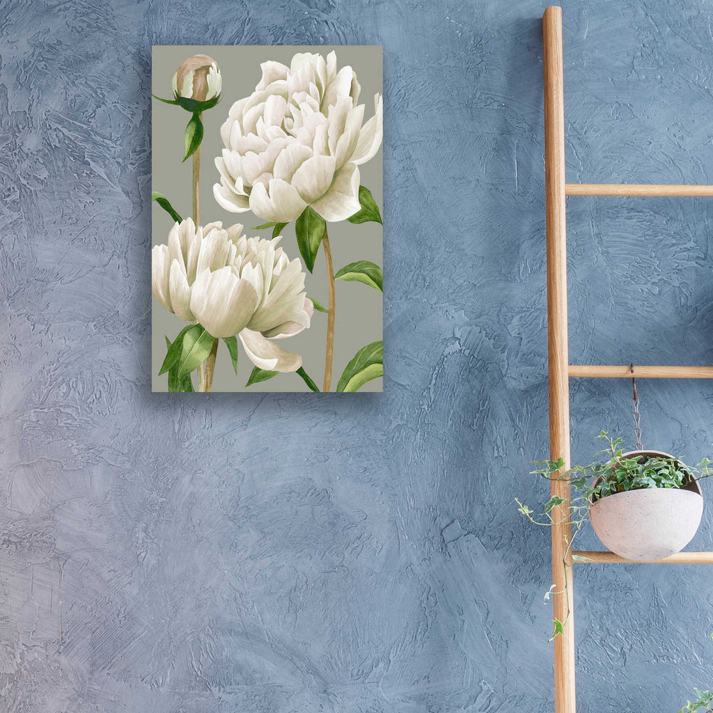 Epic Art 'White Peonies I' by Grace Popp, Acrylic Glass Wall Art,16x24