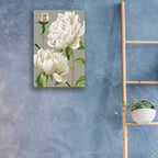Epic Art 'White Peonies I' by Grace Popp, Acrylic Glass Wall Art,16x24