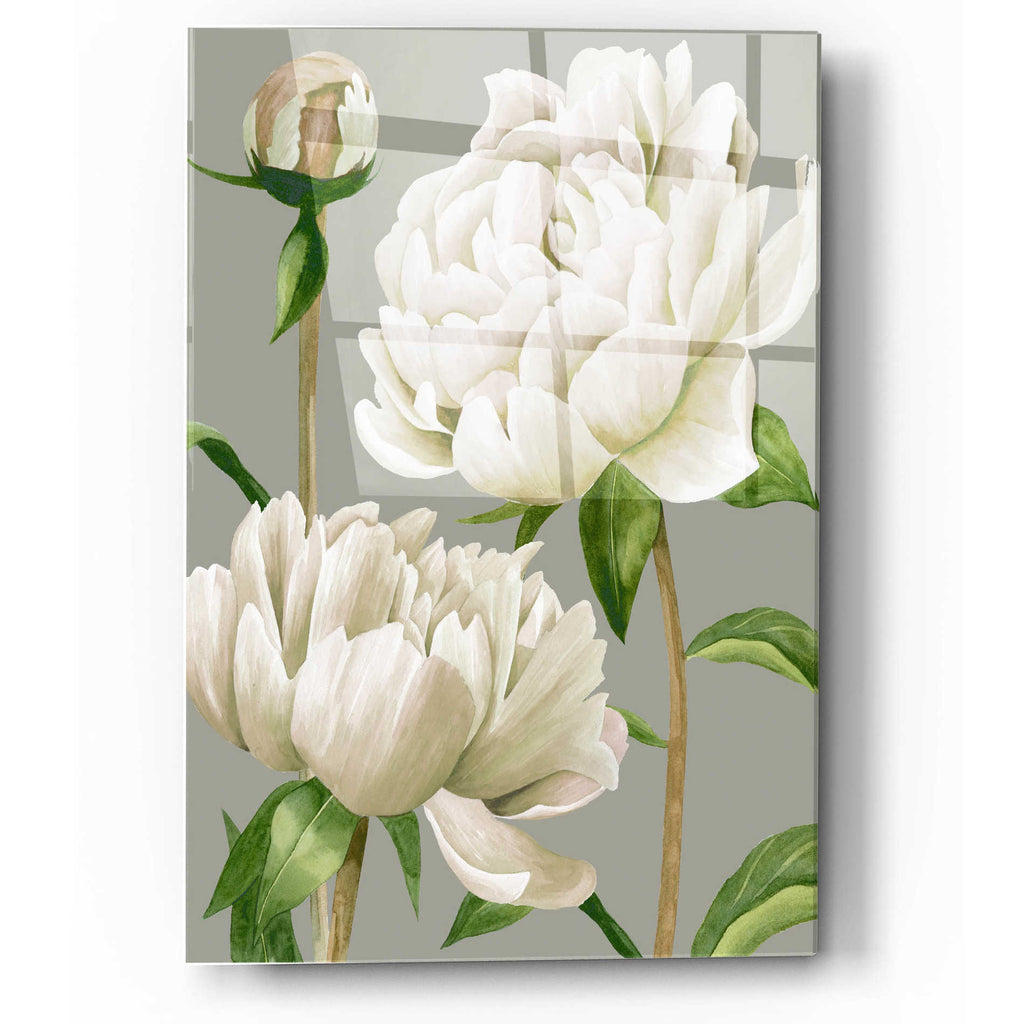 Epic Art 'White Peonies I' by Grace Popp, Acrylic Glass Wall Art