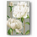 Epic Art 'White Peonies I' by Grace Popp, Acrylic Glass Wall Art