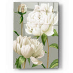 Epic Art 'White Peonies I' by Grace Popp, Acrylic Glass Wall Art