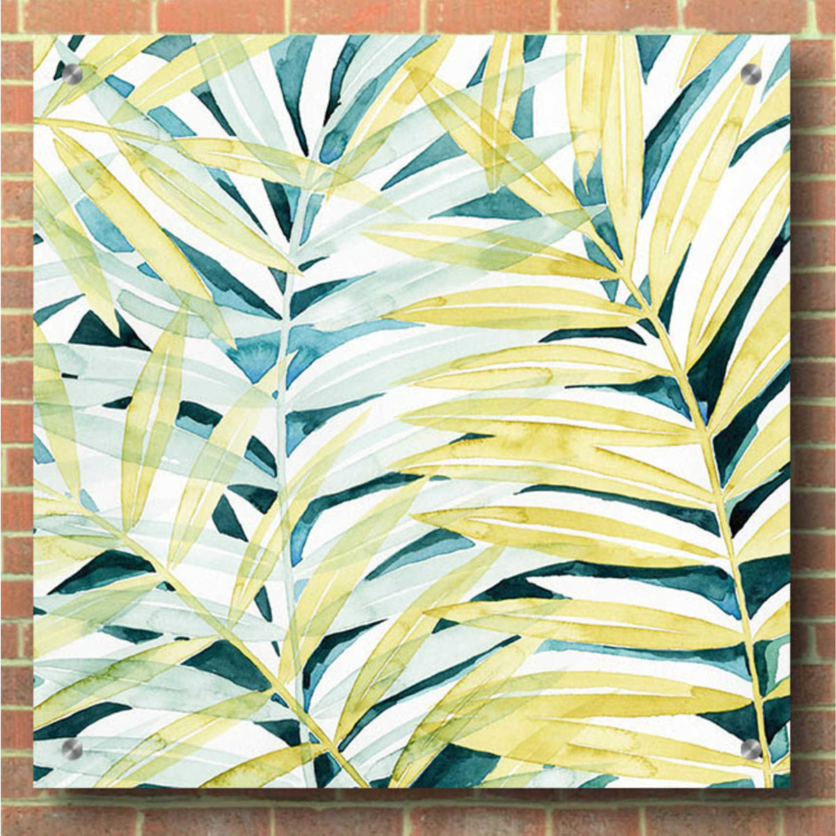 Epic Art 'Sunlit Palms I' by Grace Popp, Acrylic Glass Wall Art,36x36
