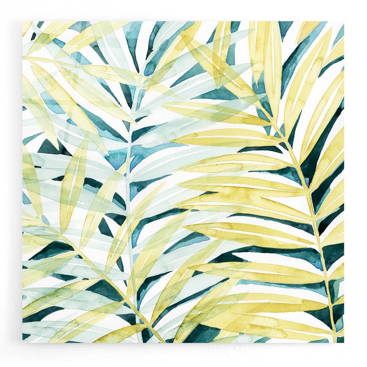 Epic Art 'Sunlit Palms I' by Grace Popp, Acrylic Glass Wall Art