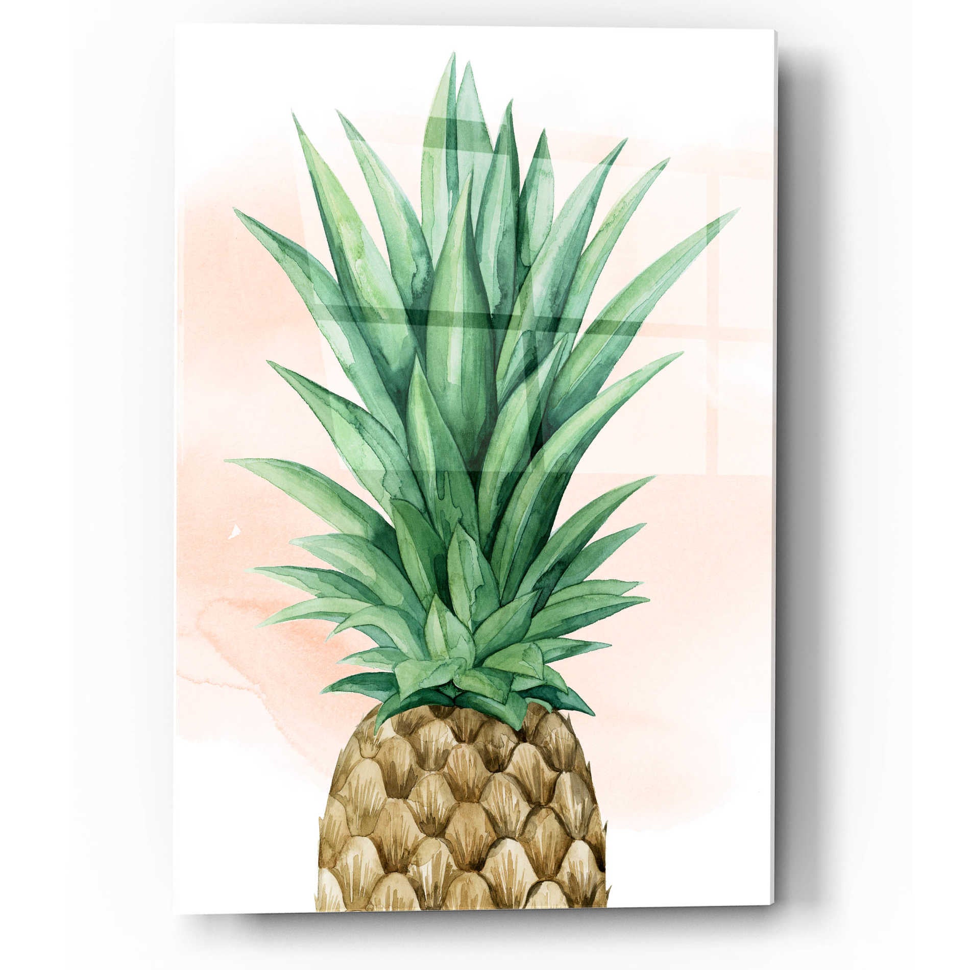 Epic Art 'Pineapple on Coral I' by Grace Popp, Acrylic Glass Wall Art,12x16