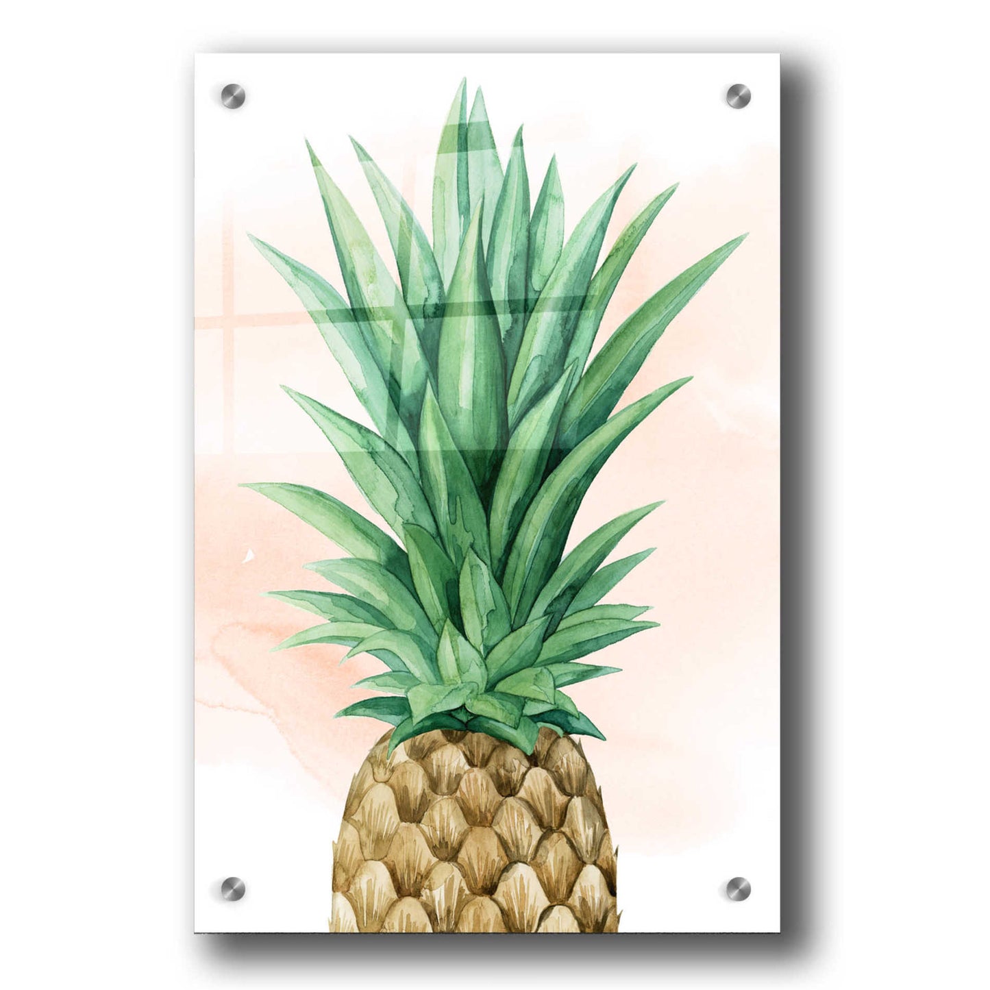 Epic Art 'Pineapple on Coral I' by Grace Popp, Acrylic Glass Wall Art,24x36