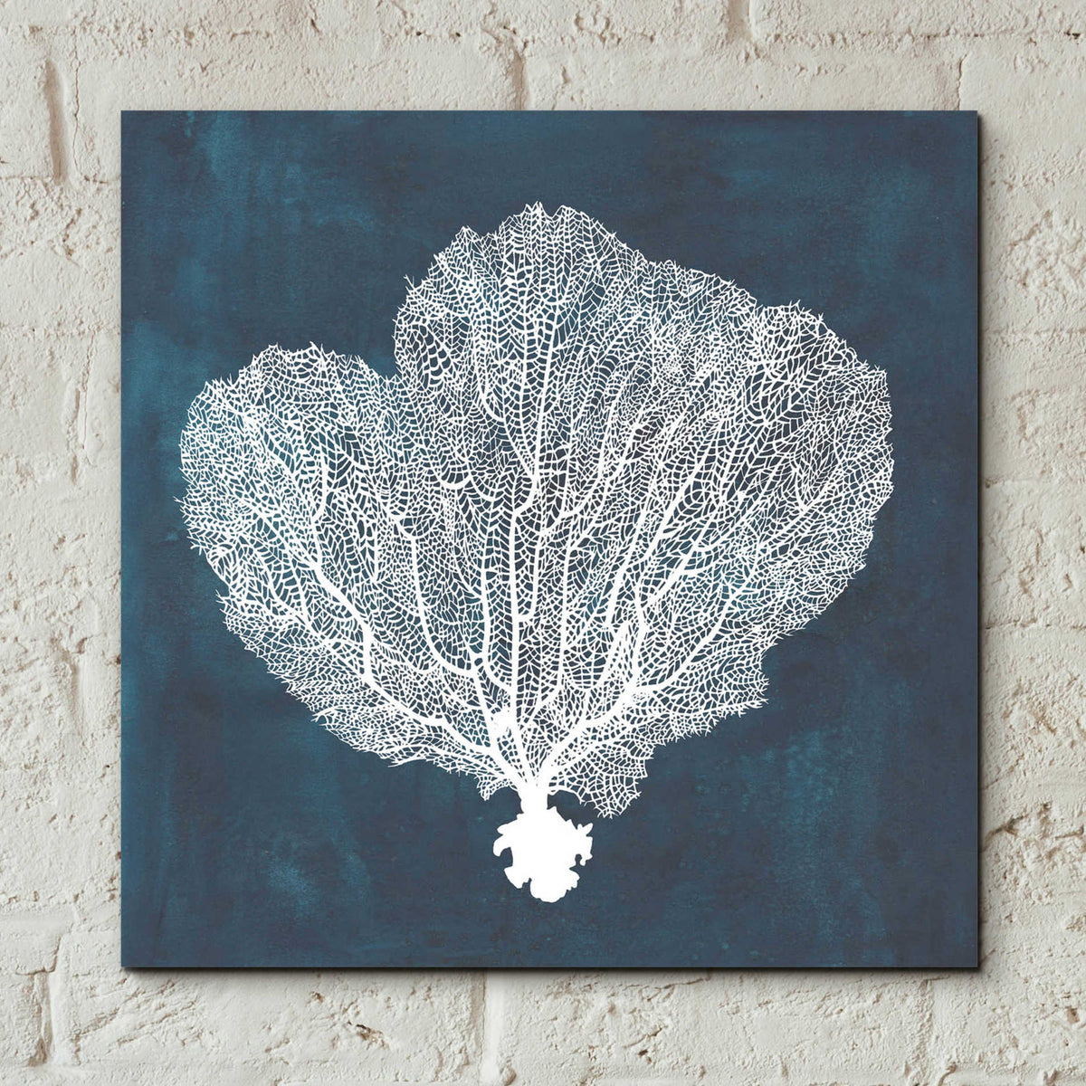 Epic Art 'Inverse Sea Fan I' by Grace Popp, Acrylic Glass Wall Art,12x12