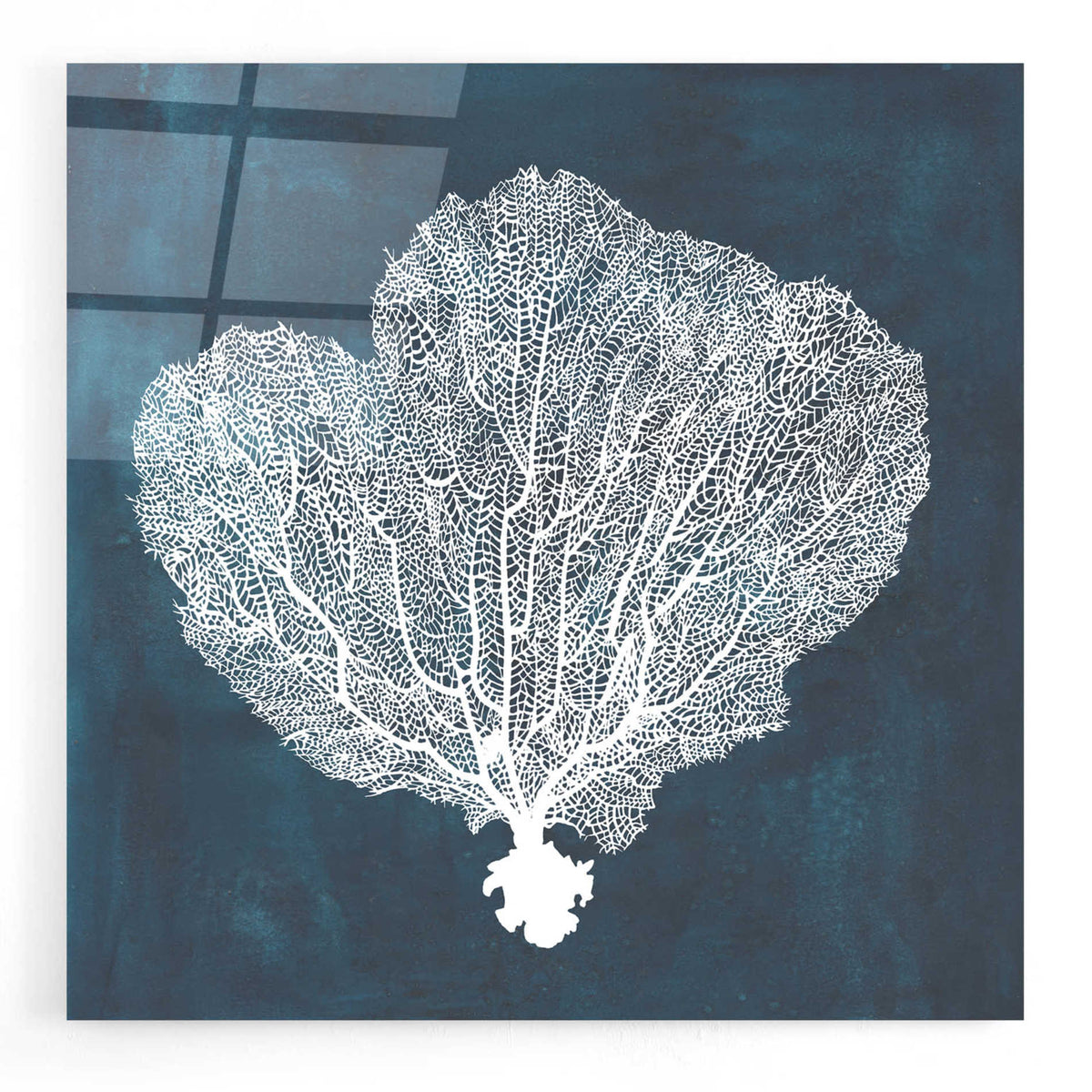 Epic Art 'Inverse Sea Fan I' by Grace Popp, Acrylic Glass Wall Art