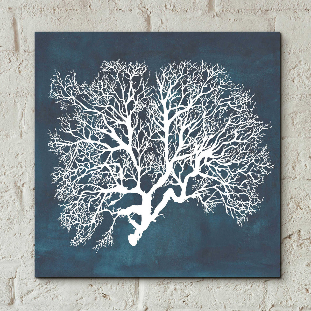Epic Art 'Inverse Sea Fan III' by Grace Popp, Acrylic Glass Wall Art,12x12