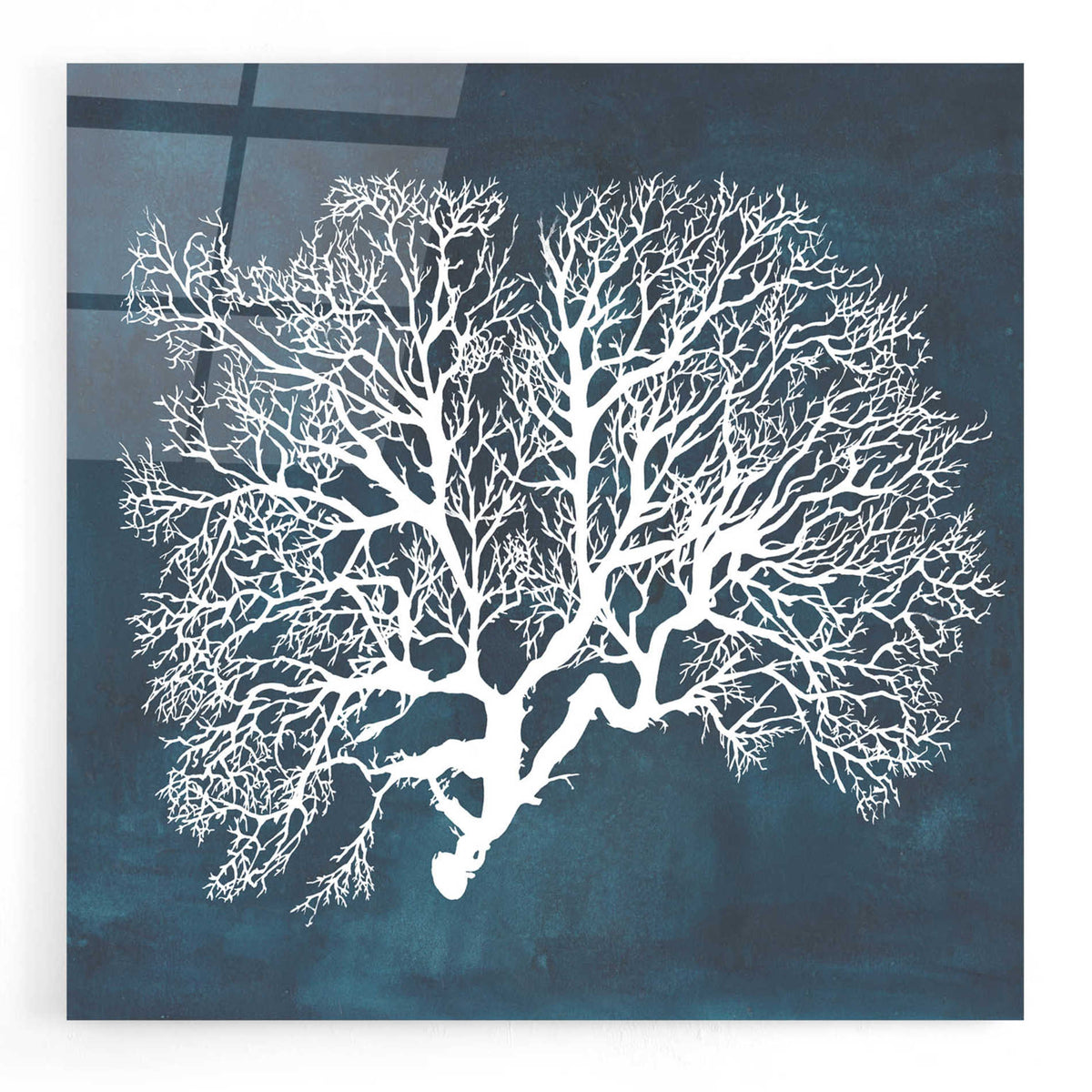 Epic Art 'Inverse Sea Fan III' by Grace Popp, Acrylic Glass Wall Art