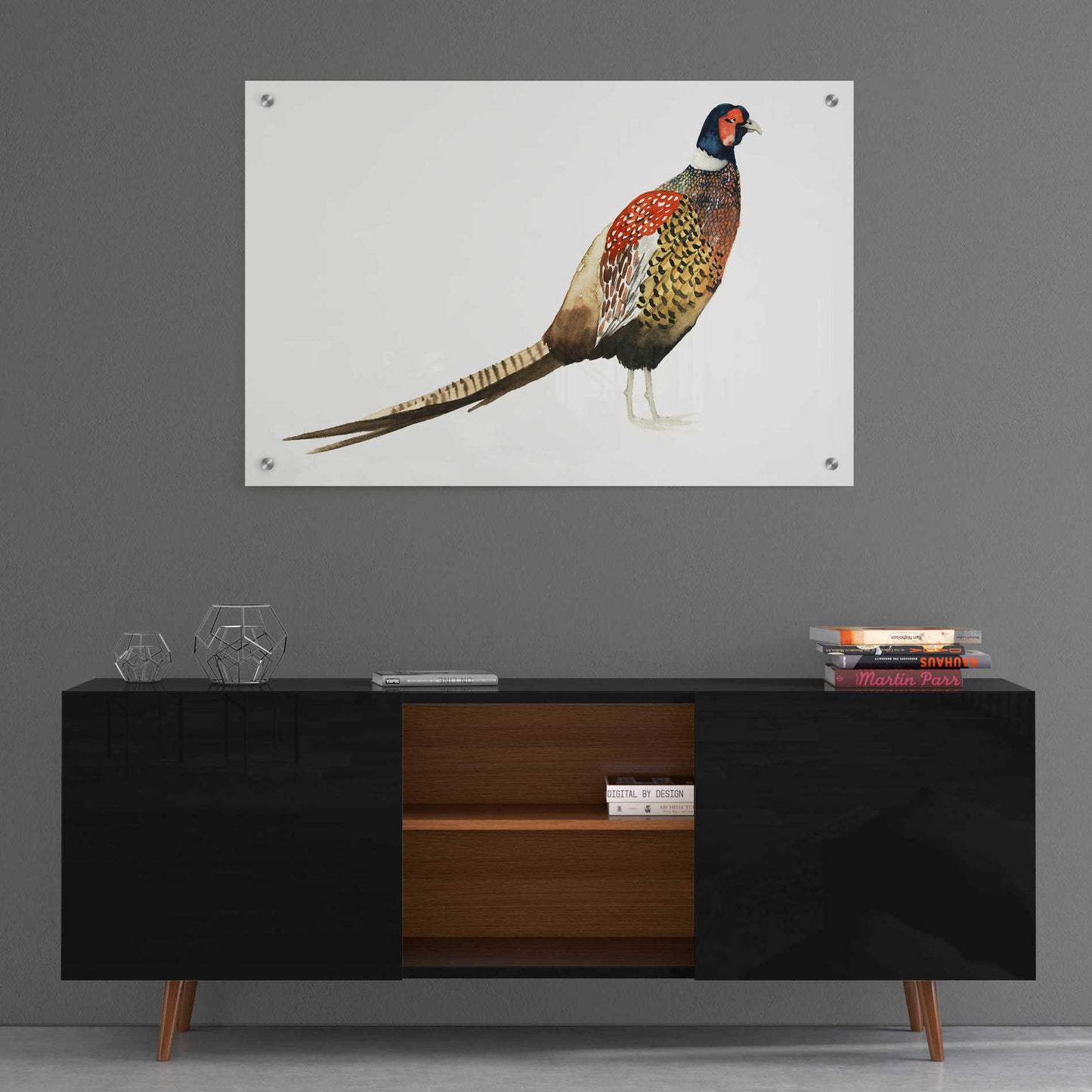 Epic Art 'Watercolor Pheasant I' by Grace Popp, Acrylic Glass Wall Art,36x24