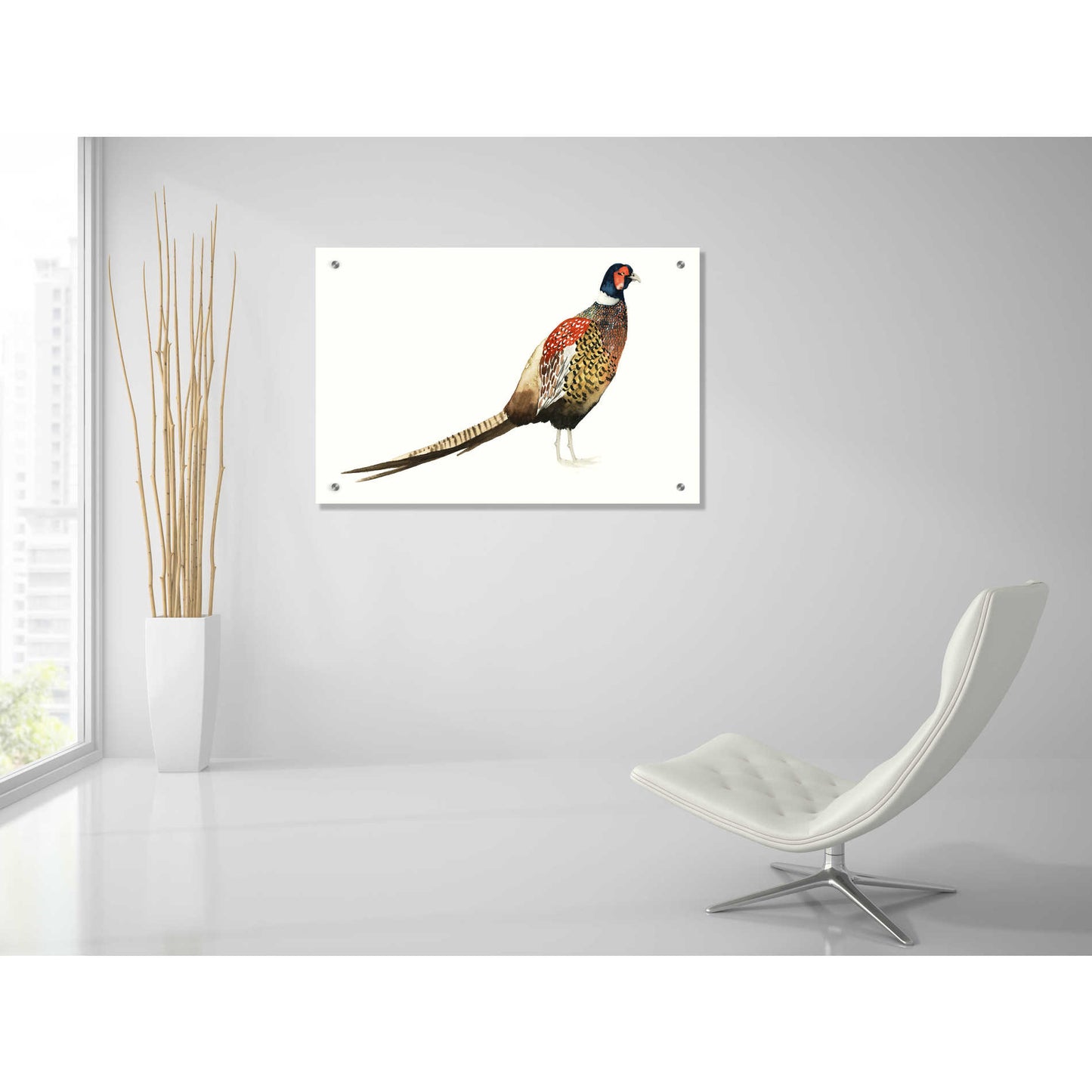 Epic Art 'Watercolor Pheasant I' by Grace Popp, Acrylic Glass Wall Art,36x24