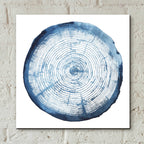 Epic Art 'Tree Ring Overlay I' by Grace Popp, Acrylic Glass Wall Art,12x12