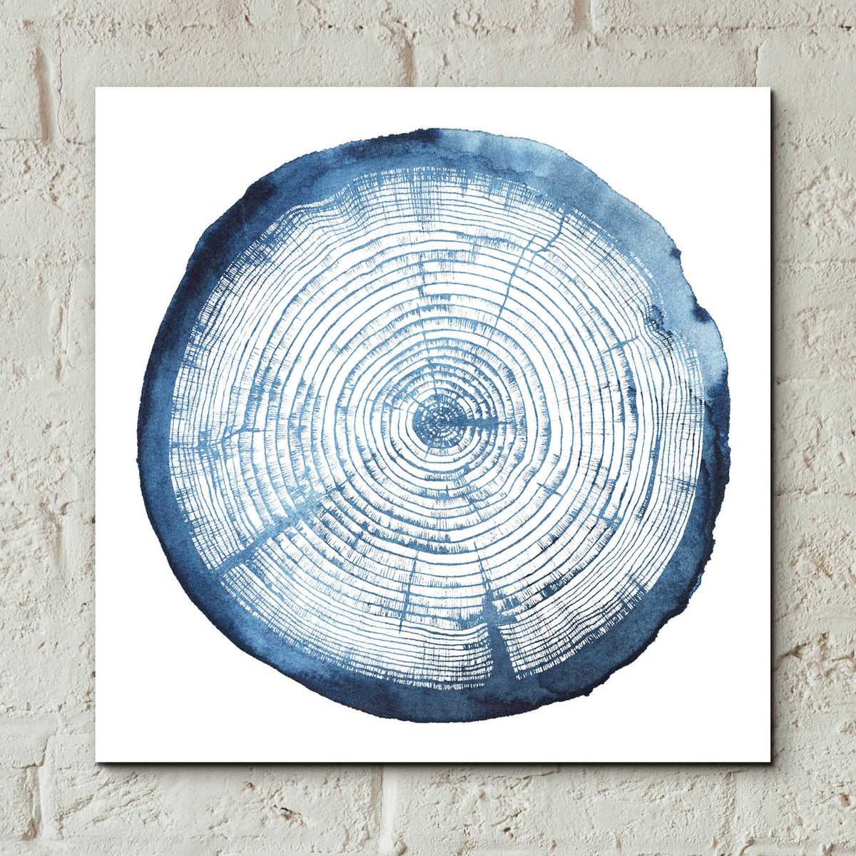 Epic Art 'Tree Ring Overlay I' by Grace Popp, Acrylic Glass Wall Art,12x12
