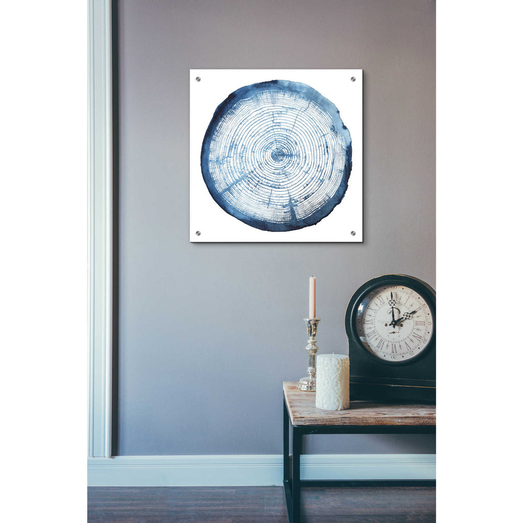 Epic Art 'Tree Ring Overlay I' by Grace Popp, Acrylic Glass Wall Art,24x24