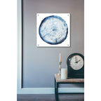 Epic Art 'Tree Ring Overlay I' by Grace Popp, Acrylic Glass Wall Art,24x24