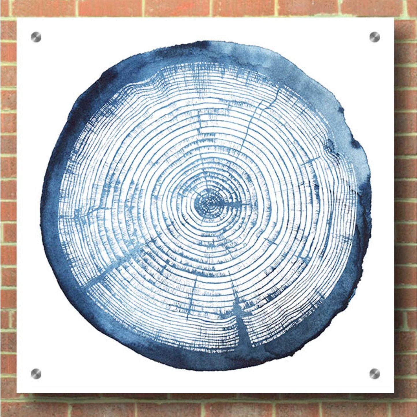 Epic Art 'Tree Ring Overlay I' by Grace Popp, Acrylic Glass Wall Art,36x36