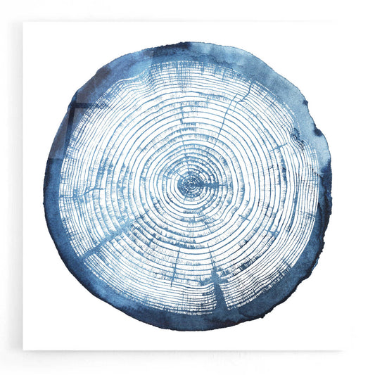 Epic Art 'Tree Ring Overlay I' by Grace Popp, Acrylic Glass Wall Art