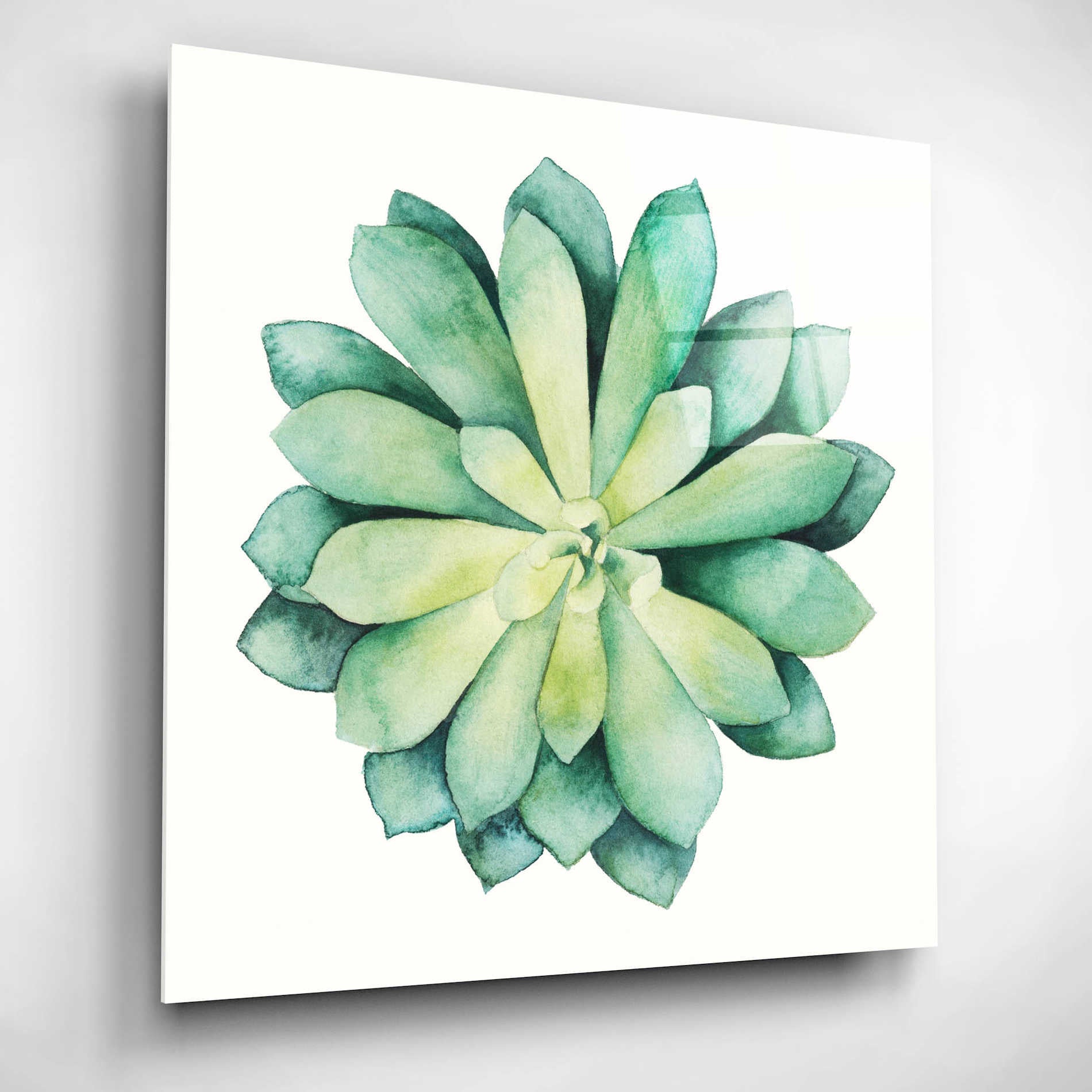 Epic Art 'Tropical Plant VI' by Grace Popp, Acrylic Glass Wall Art,12x12