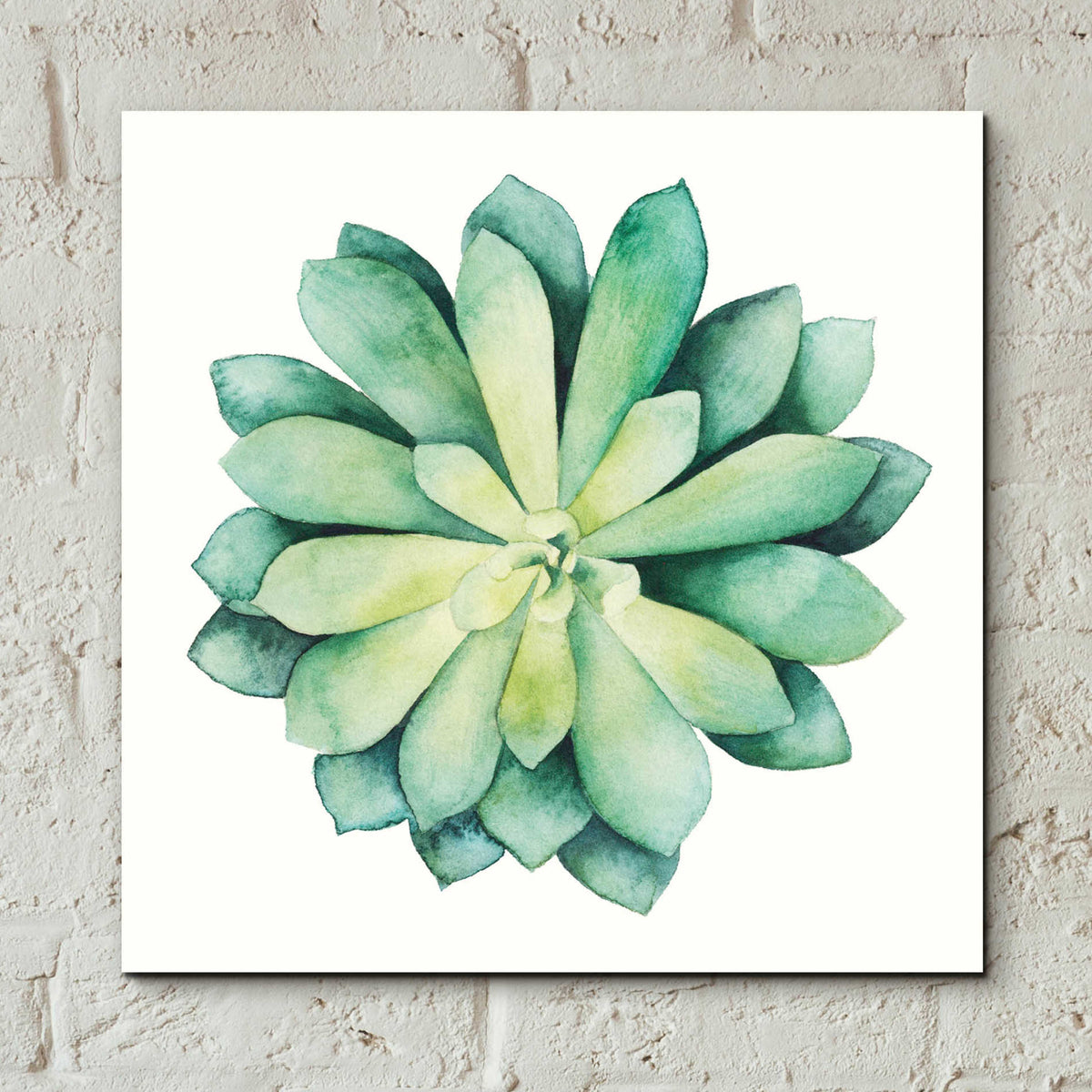 Epic Art 'Tropical Plant VI' by Grace Popp, Acrylic Glass Wall Art,12x12