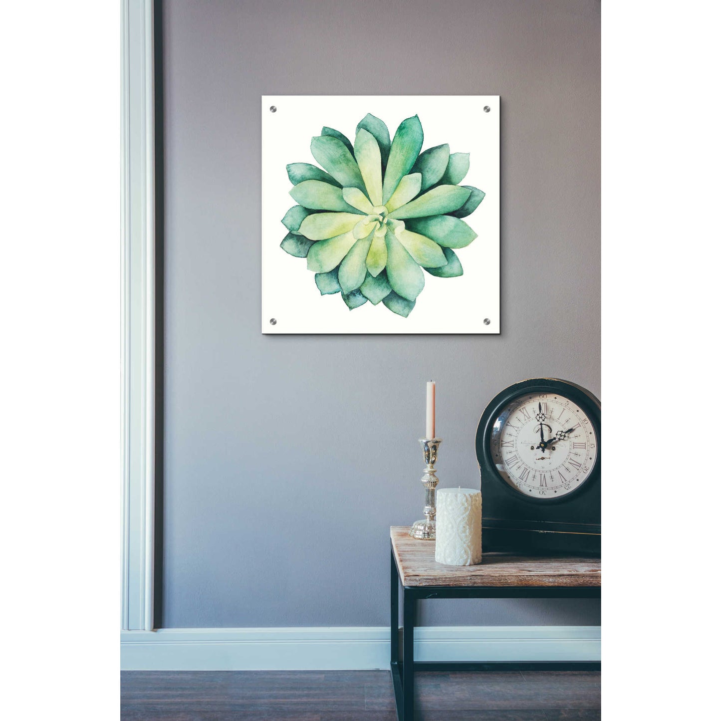 Epic Art 'Tropical Plant VI' by Grace Popp, Acrylic Glass Wall Art,24x24