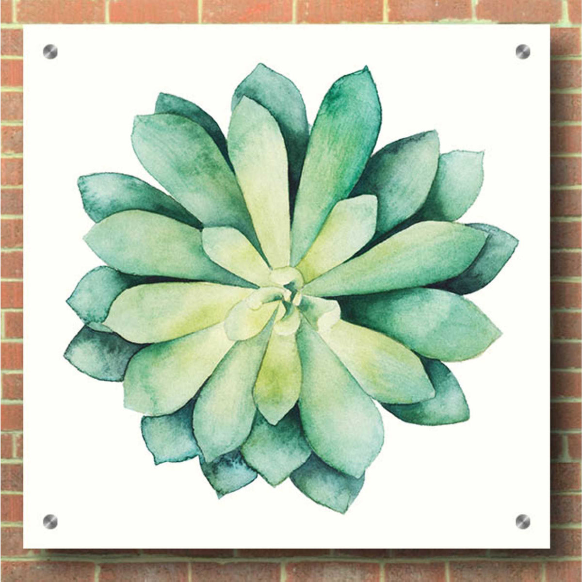 Epic Art 'Tropical Plant VI' by Grace Popp, Acrylic Glass Wall Art,36x36