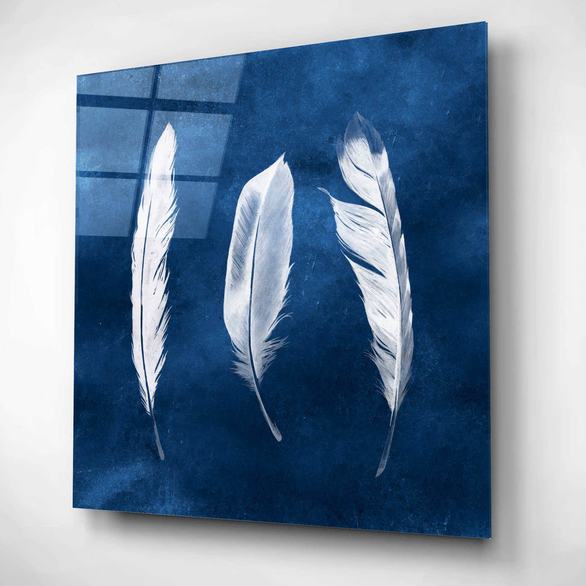 Epic Art 'Cyanotype Feathers II' by Grace Popp, Acrylic Glass Wall Art,12x12