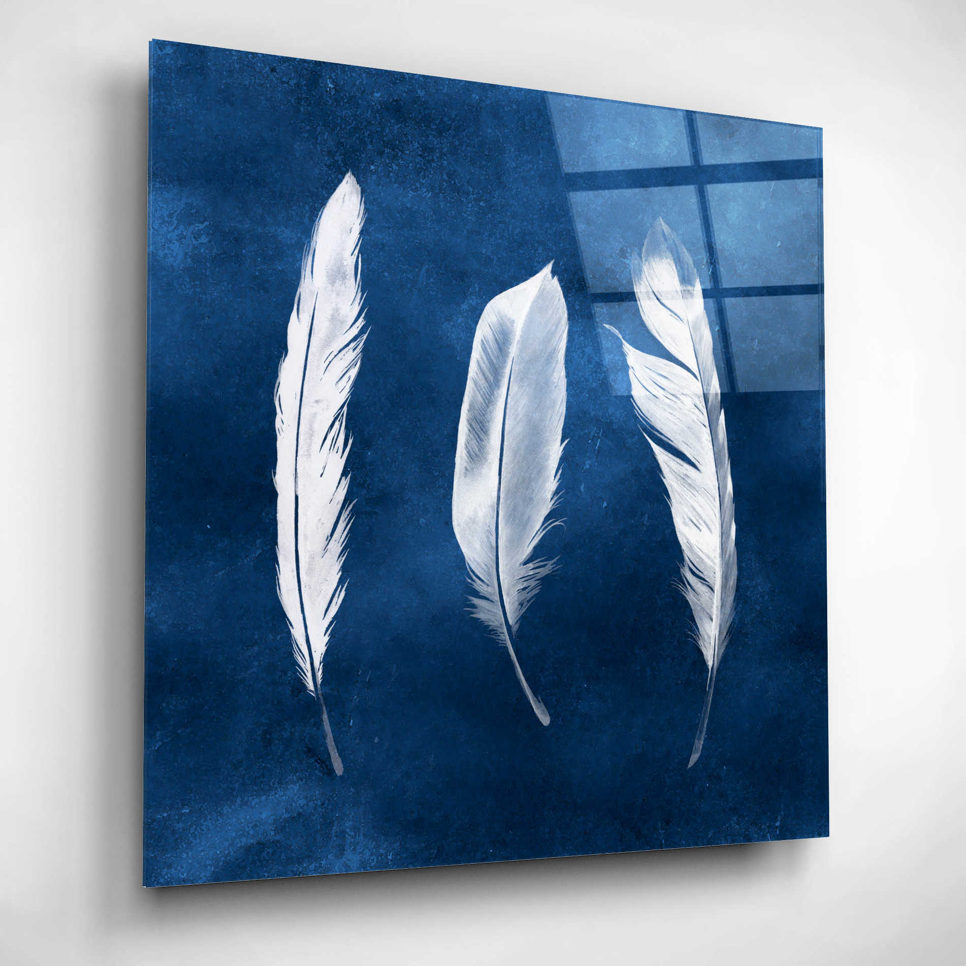 Epic Art 'Cyanotype Feathers II' by Grace Popp, Acrylic Glass Wall Art,12x12