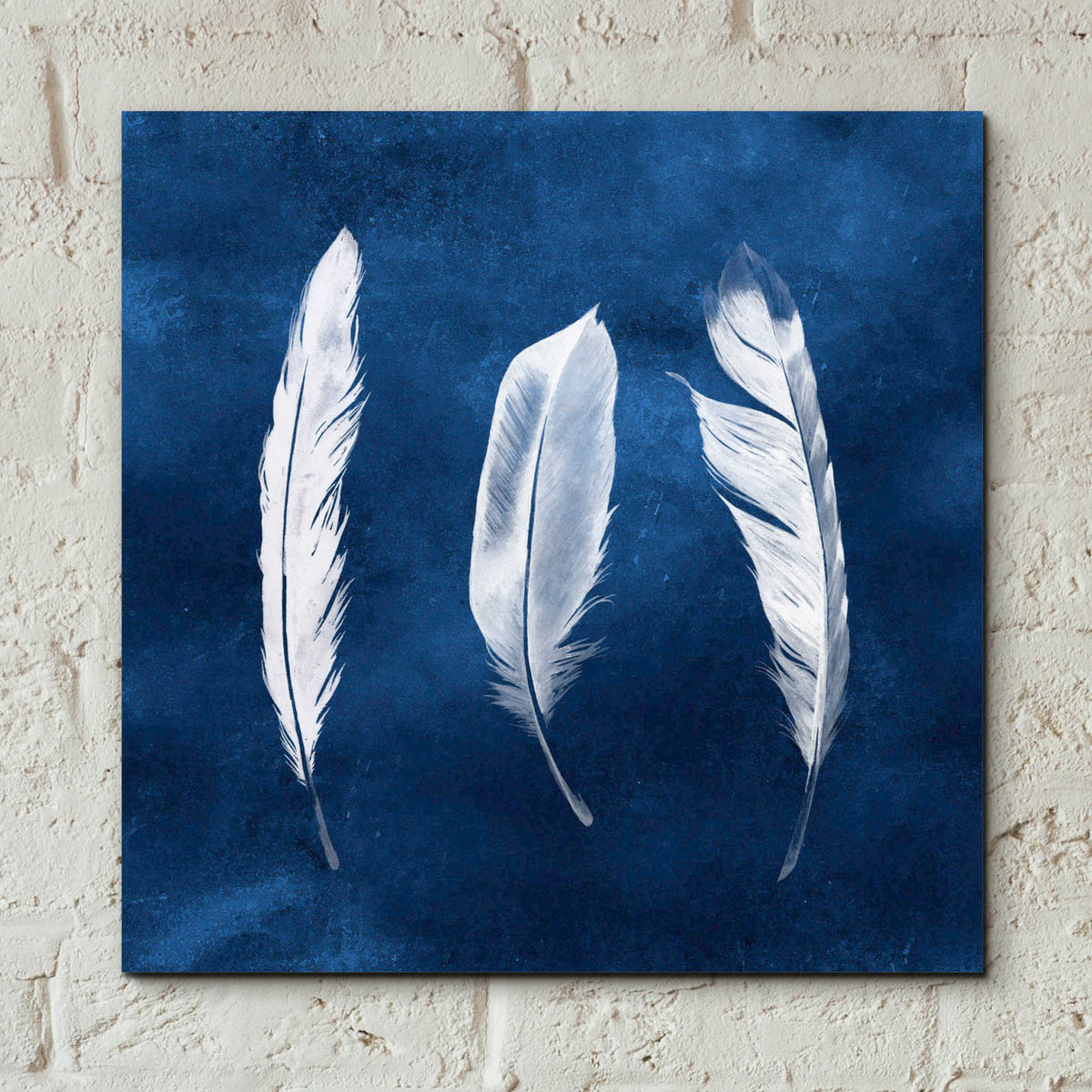 Epic Art 'Cyanotype Feathers II' by Grace Popp, Acrylic Glass Wall Art,12x12