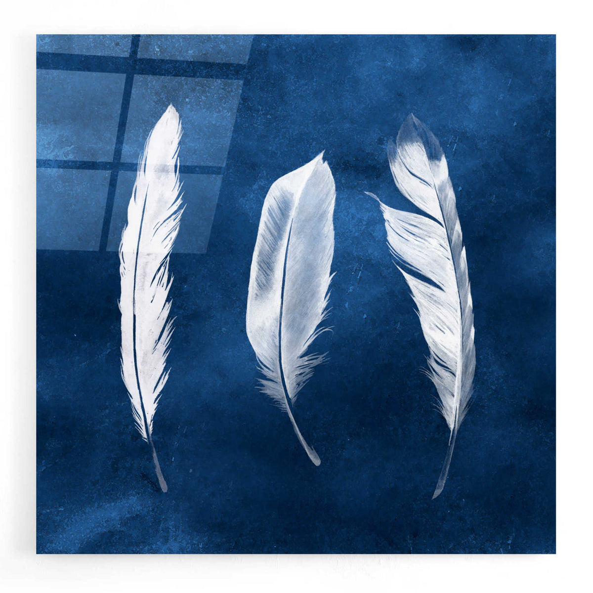 Epic Art 'Cyanotype Feathers II' by Grace Popp, Acrylic Glass Wall Art