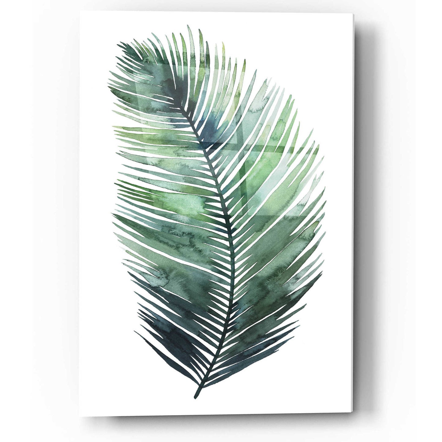 Epic Art 'Untethered Palm VII I' by Grace Popp, Acrylic Glass Wall Art,12x16