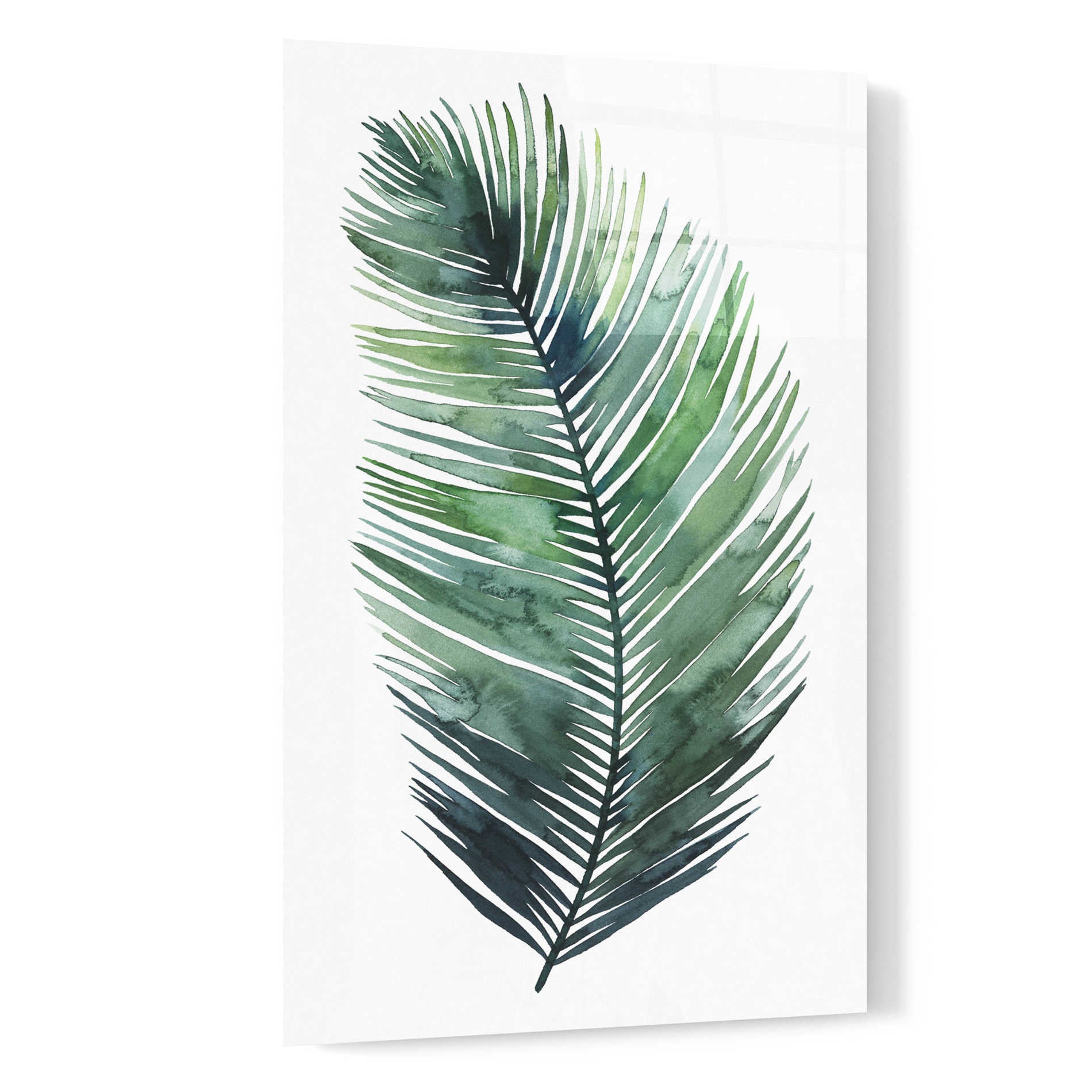 Epic Art 'Untethered Palm VII I' by Grace Popp, Acrylic Glass Wall Art,16x24