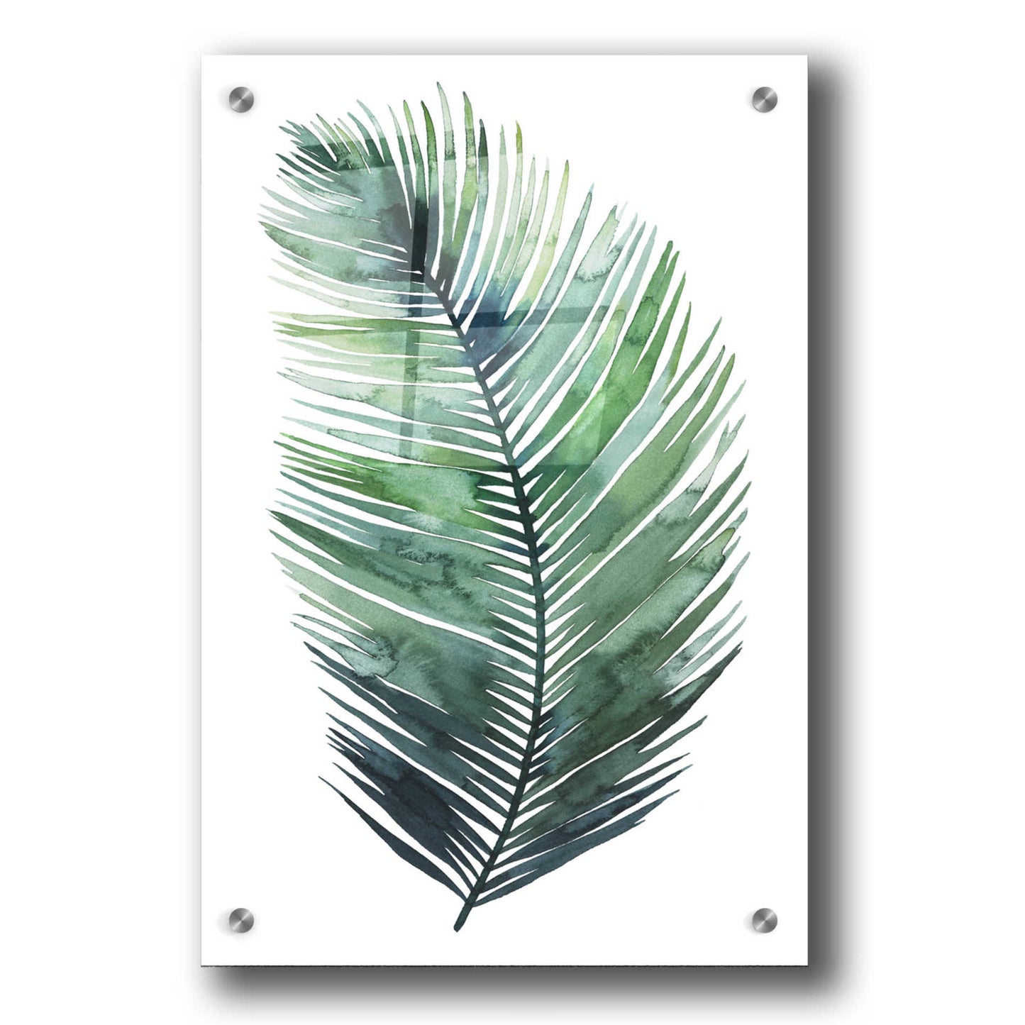 Epic Art 'Untethered Palm VII I' by Grace Popp, Acrylic Glass Wall Art,24x36