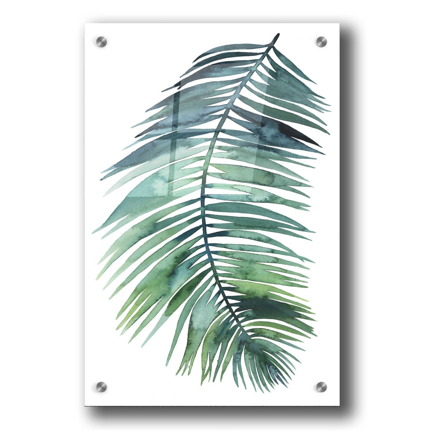 Epic Art 'Untethered Palm VII II' by Grace Popp, Acrylic Glass Wall Art,24x36