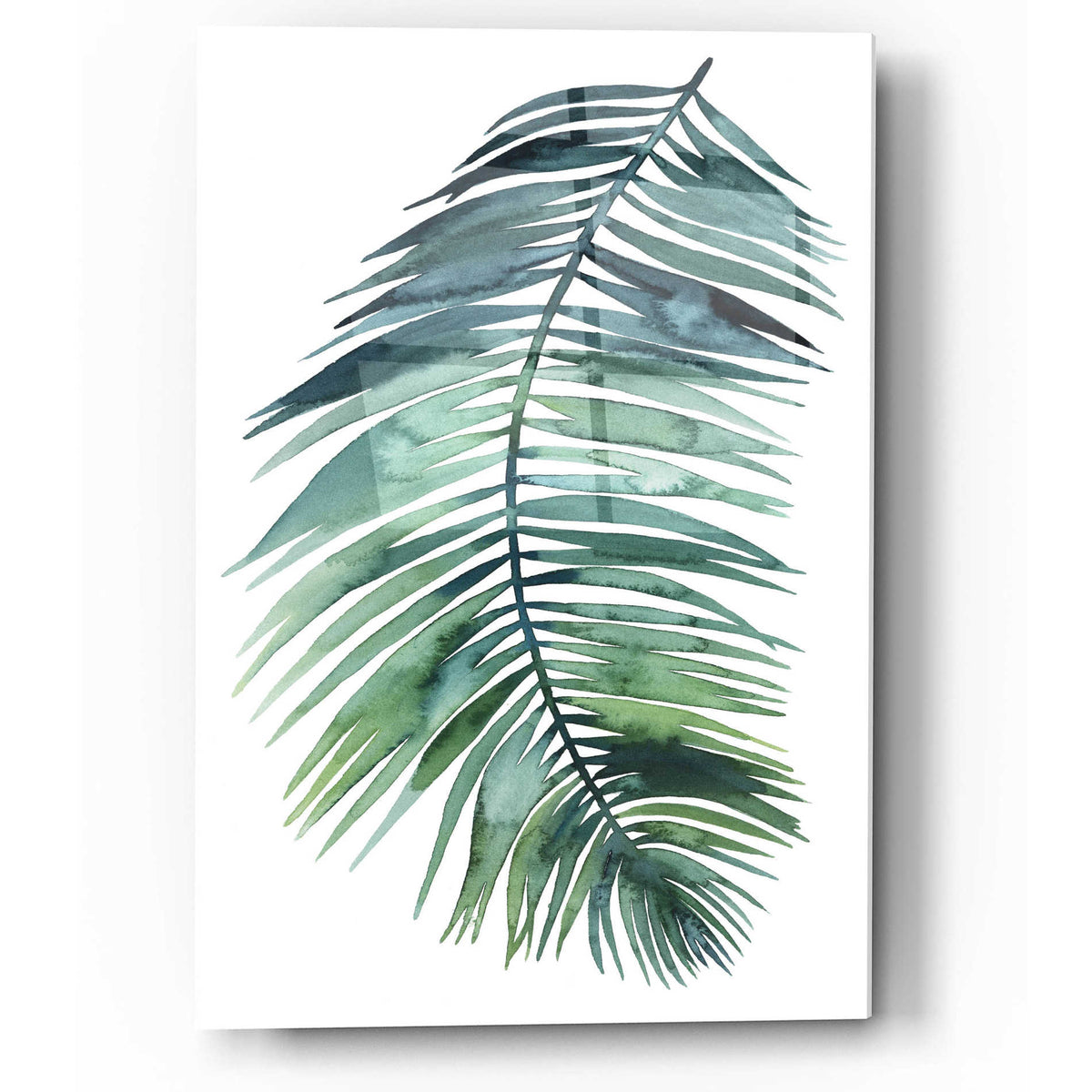 Epic Art 'Untethered Palm VII II' by Grace Popp, Acrylic Glass Wall Art